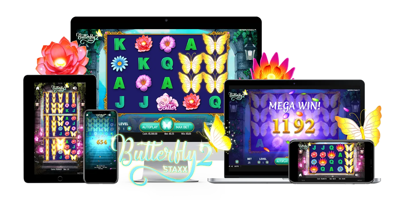 Butterfly Staxx